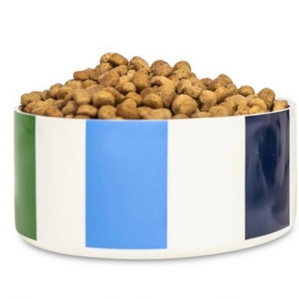NEW kate spade multi-colored Striped Dog Bowl. pink/red/blue/green adorable!